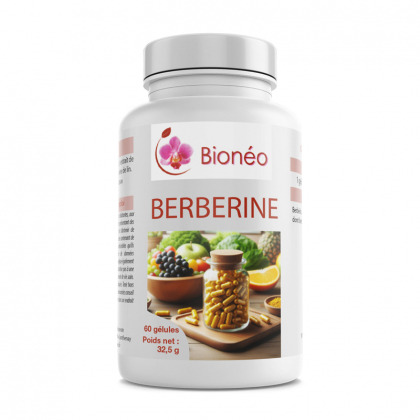 Berbérine - 60 gélules végétales
