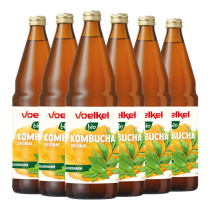 Kombucha original - Lot de 6 x 1L