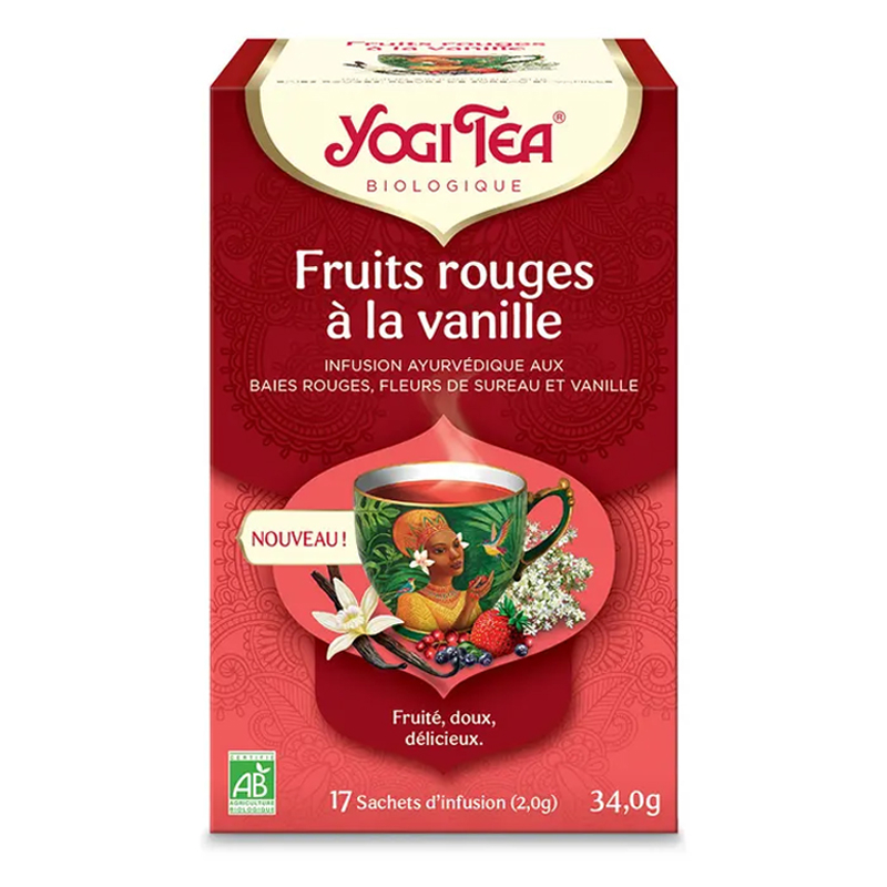 Infusion ayurvédique aux épices bio - Fruits rouge vanille - 17 infusettes