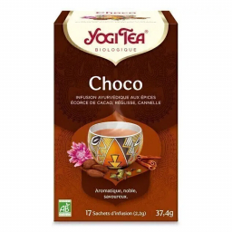 Infusion ayurvédique aux épices bio - Choco - 17 infusettes