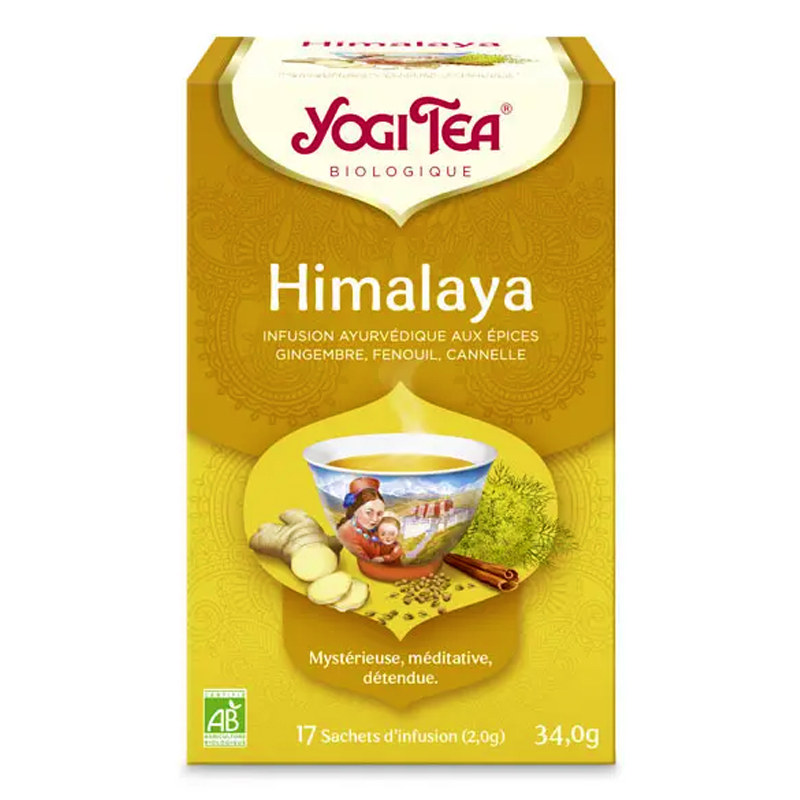 Infusion ayurvédique aux épices bio - Himalaya - 17 infusettes