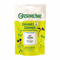 Graines à germer - Blé - 200g