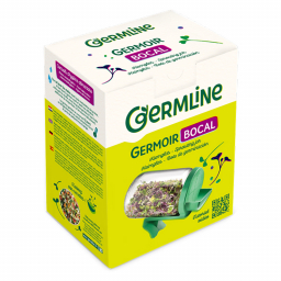 Germoir bocal en verre - 660ml