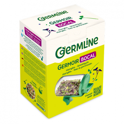 Germoir bocal en verre - 660ml