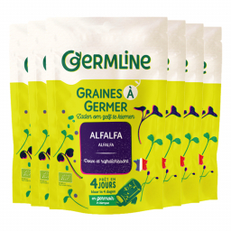 Graines à germer - Alfalfa - Lot de 6x150g