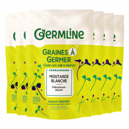 Graines à germer - Moutarde blanche - Lot de 6x100g