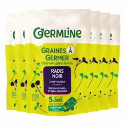 Graines à germer - Radis noir - Lot de 6x150g