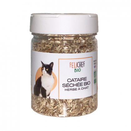 Herbe à chat - Cataire séchée bio - 40g