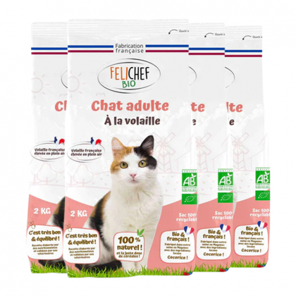 Croquettes à la volaille pour chat adulte - Lot de 4x2kg