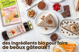 Farine de Millet Bio - Sans Gluten - 500 g – Moulins de Versailles